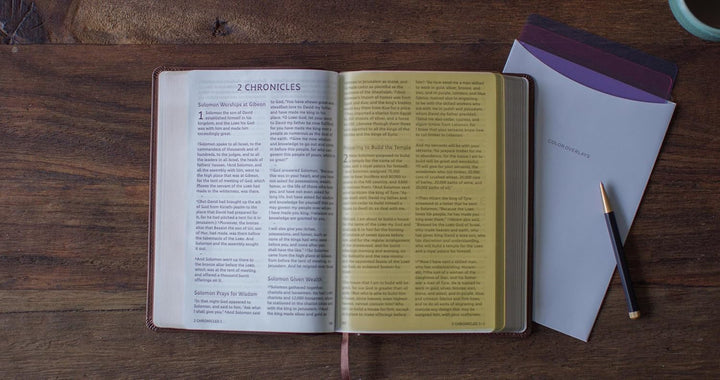 ESV Holy Bible: Dyslexia-Friendly Edition (TruTone, Brown)