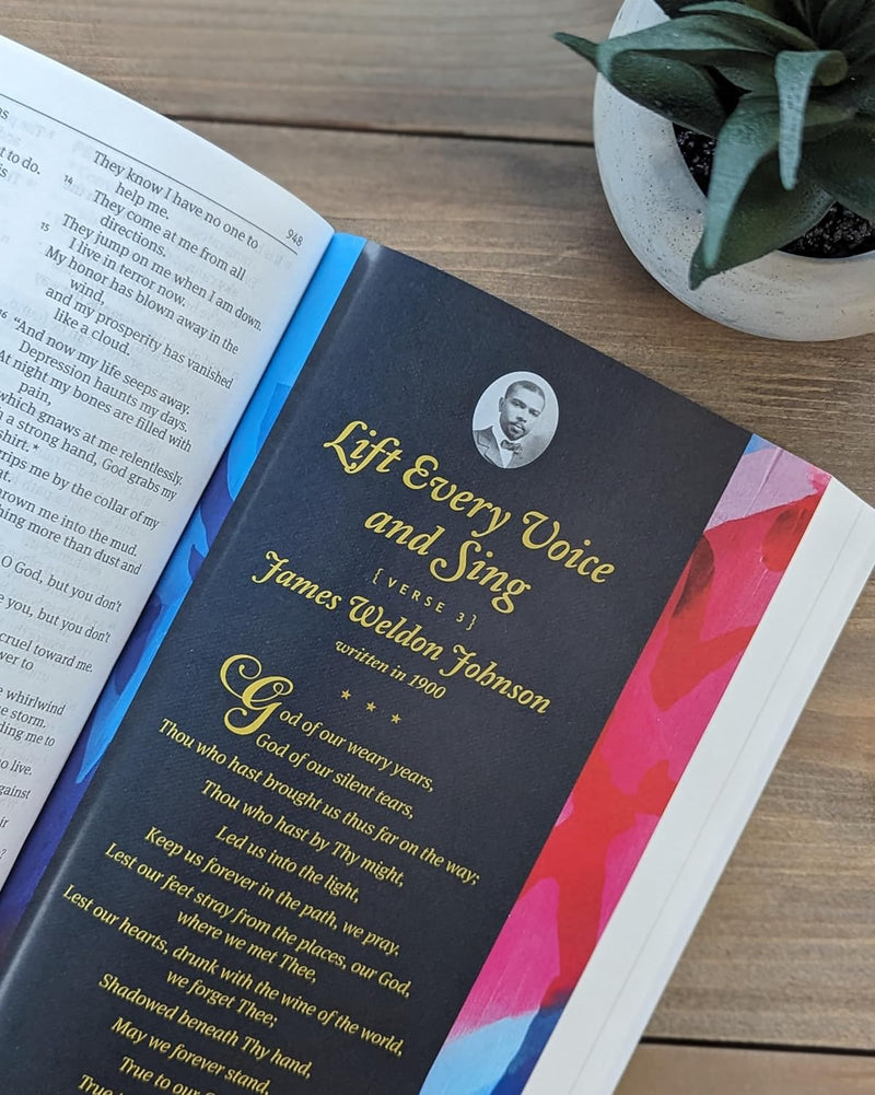 The One Year Pray for America Bible NLT