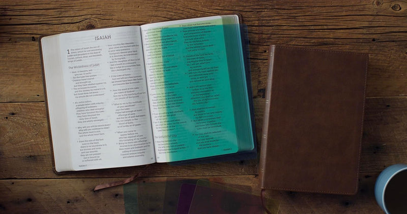 ESV Holy Bible: Dyslexia-Friendly Edition (TruTone, Brown)