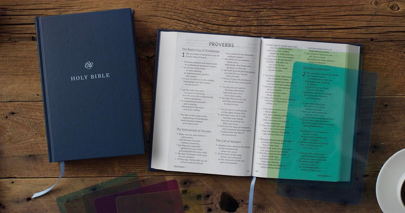 ESV Holy Bible: Dyslexia-Friendly Edition (Hardcover)