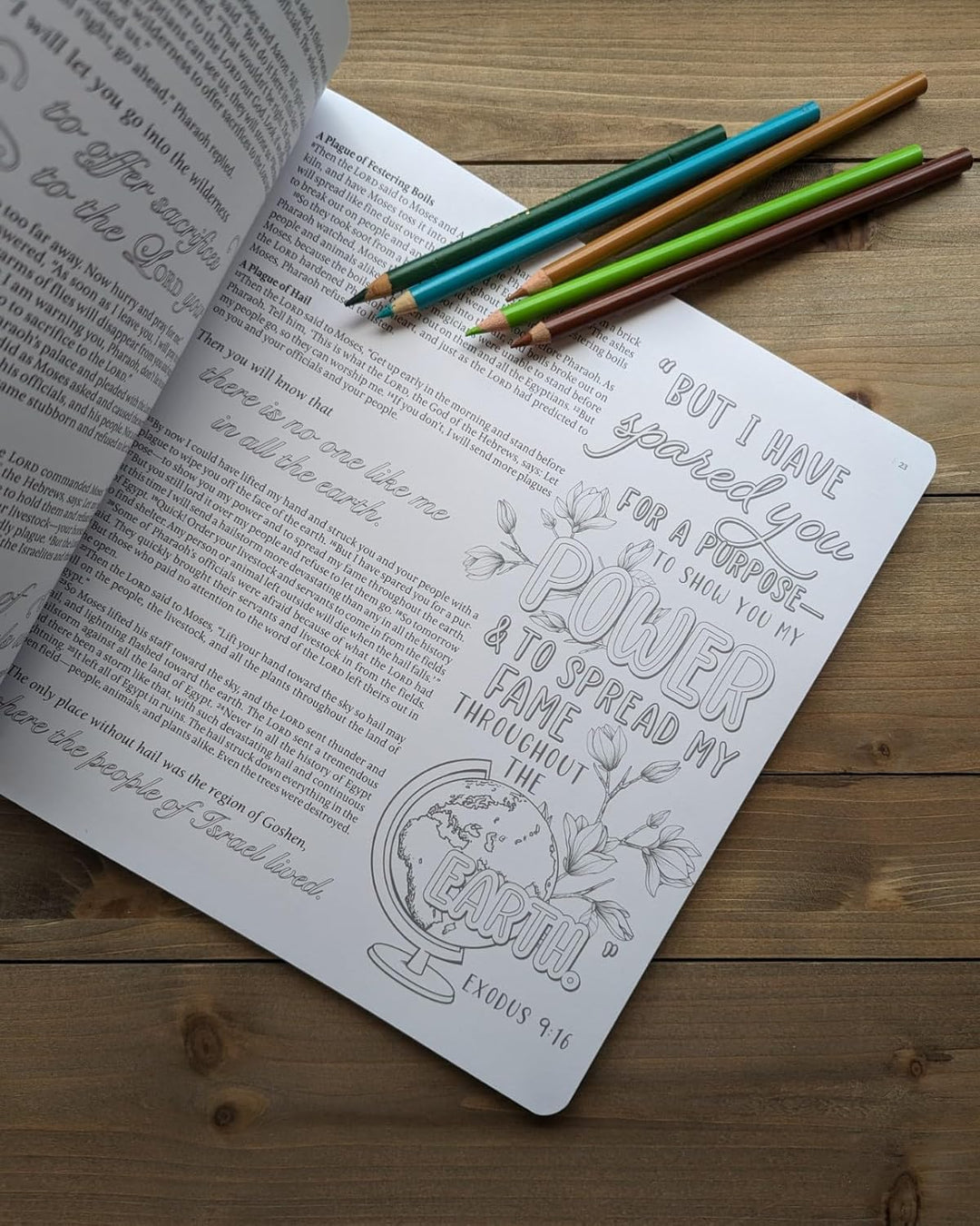 Inspire: Exodus by New Living Translation and Tyndale
