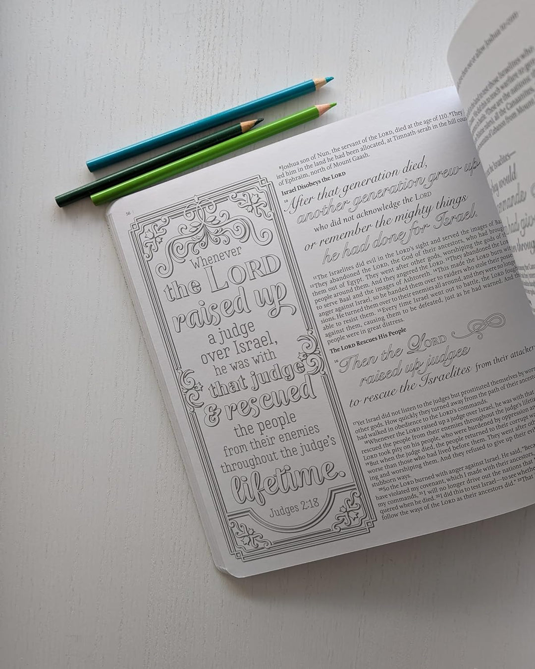 Inspire: Joshua, Judges &amp; Ruth By: Tyndale