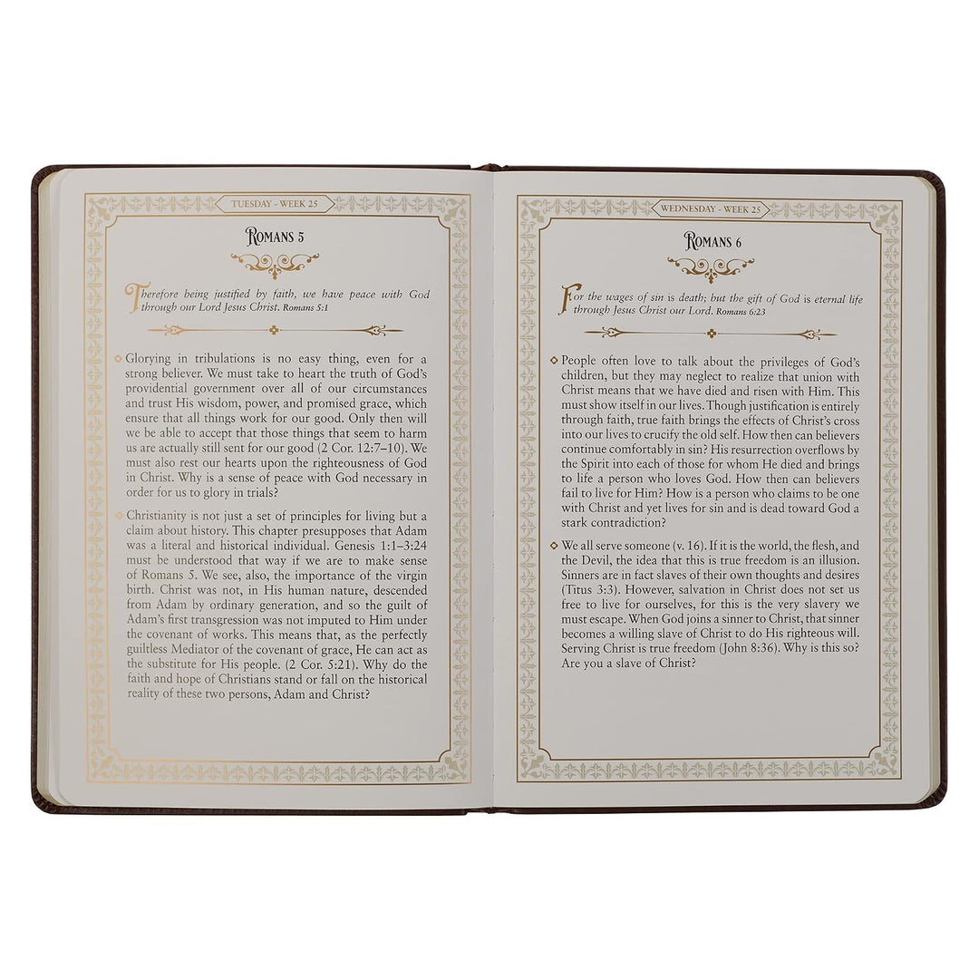 Large Print Edition Daily Devotions from the KJV Brown Faux Leather Devotional