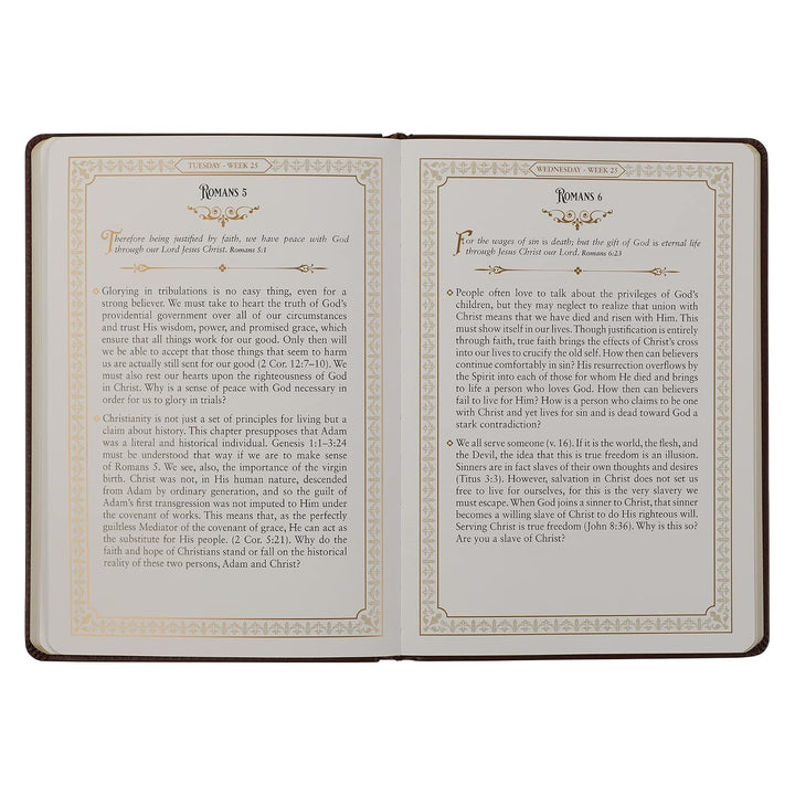 Large Print Edition Daily Devotions from the KJV Brown Faux Leather Devotional