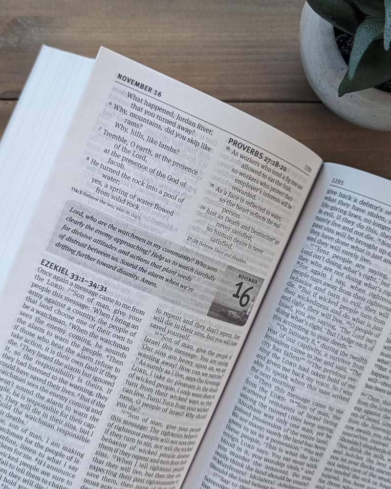 The One Year Pray for America Bible NLT
