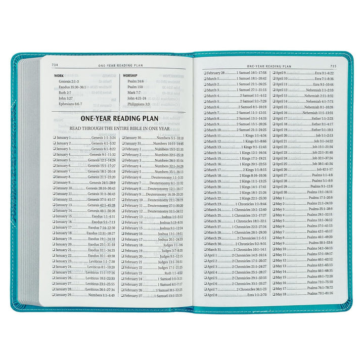Teal Butterfly Faux Leather King James Version Gift Edition Bible