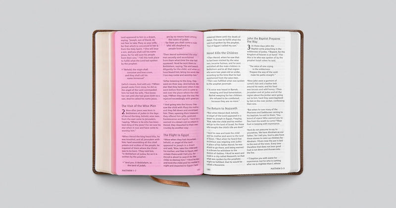 ESV Holy Bible: Dyslexia-Friendly Edition (TruTone, Brown)