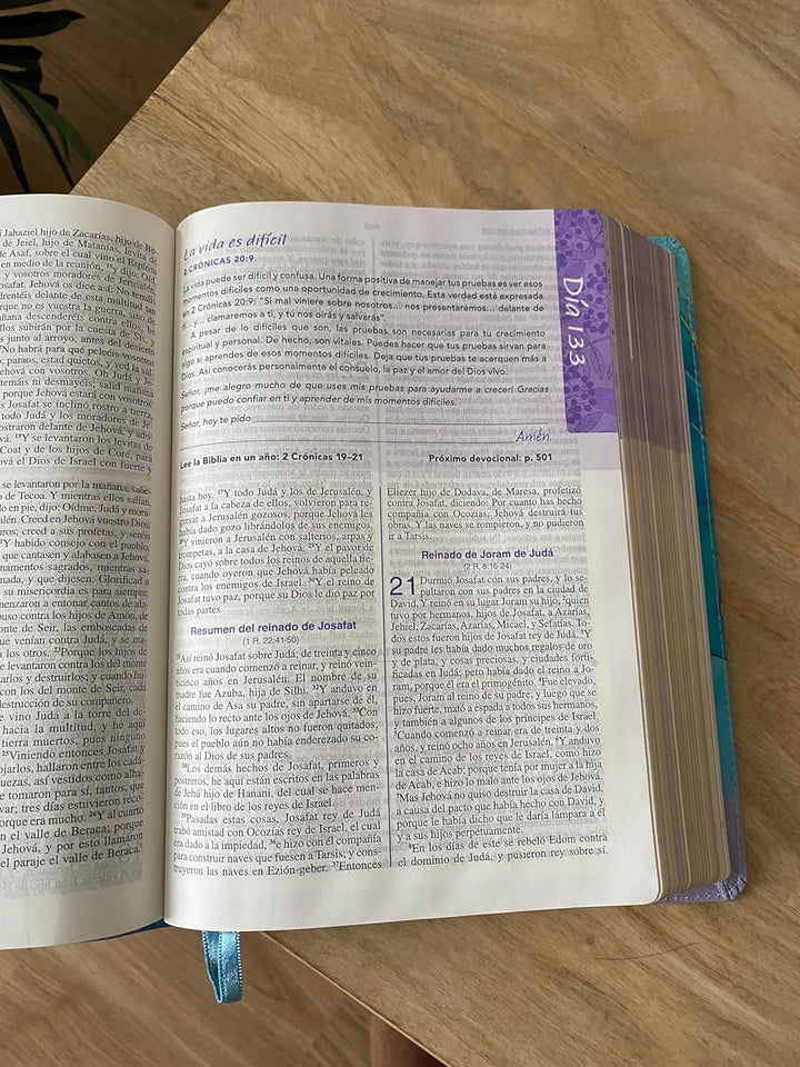 Biblia de una joven conforme al corazón de Dios-RVR60: Edición Brisa (A Young Woman After God&