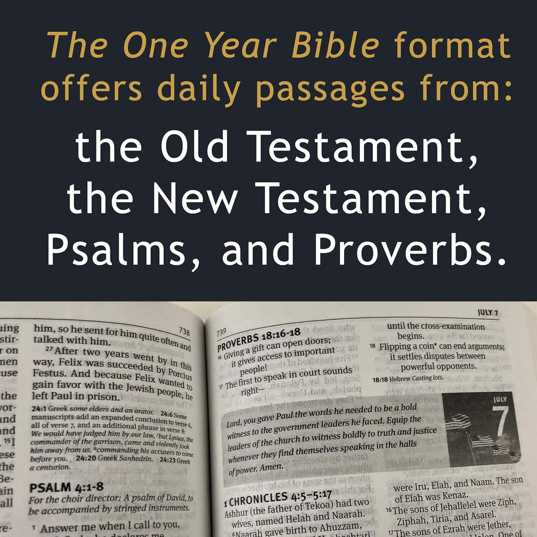 The One Year Pray for America Bible NLT