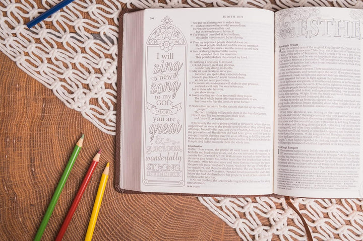 Inspire Catholic Bible NLT (LeatherLike, Dark Brown): The Bible for Coloring &amp; Creative Journaling Imitation Leather