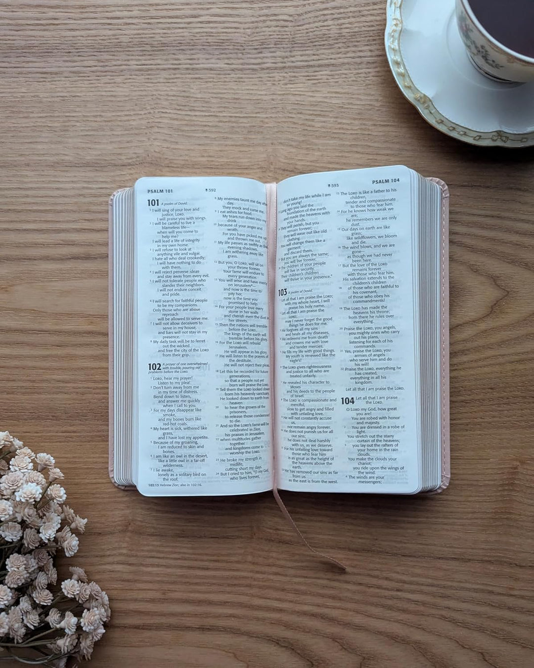 NLT Pocket Thinline Bible, Filament Enabled (LeatherLike, Blush Pink Flowers, Red Letter)