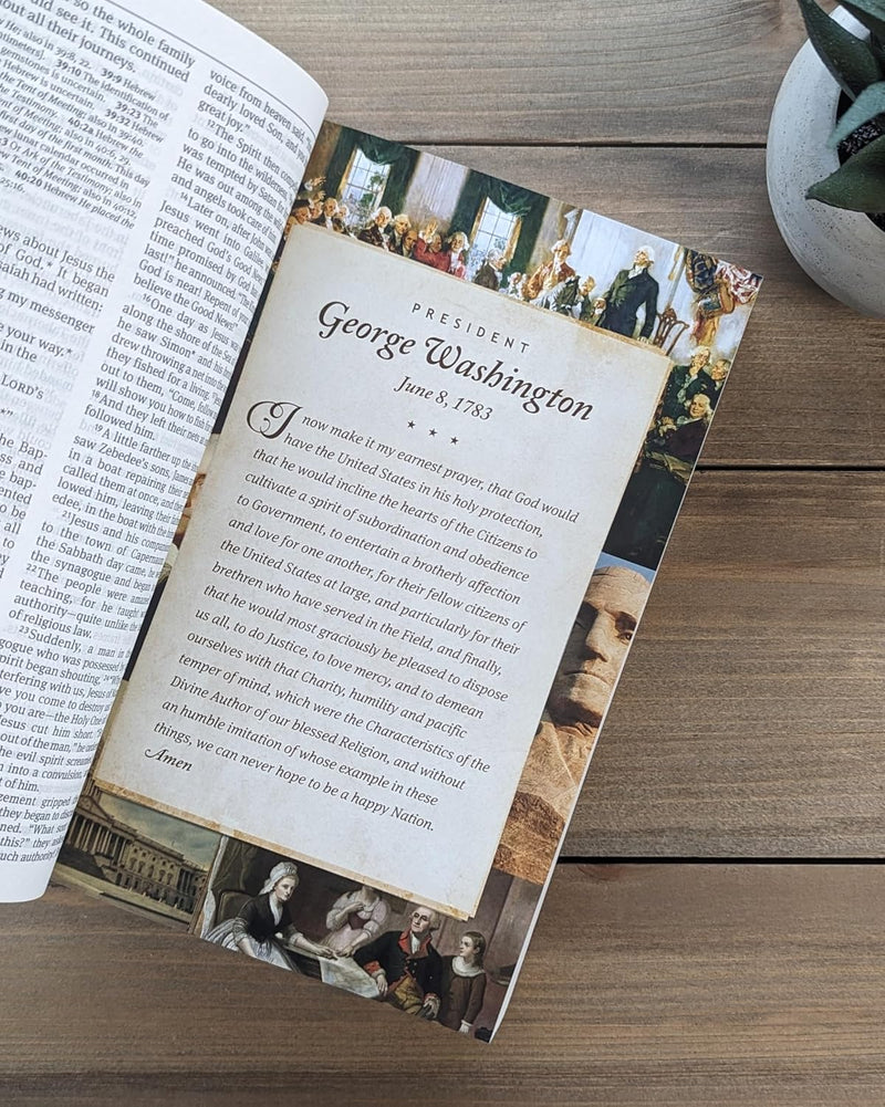 The One Year Pray for America Bible NLT