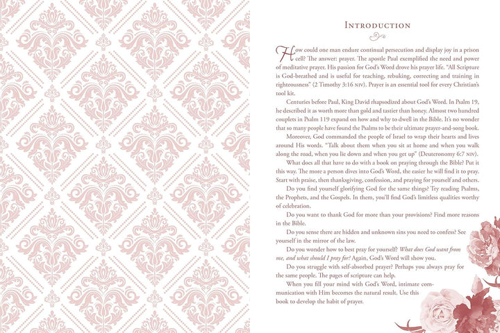 Pray through the Bible in a Year Journal