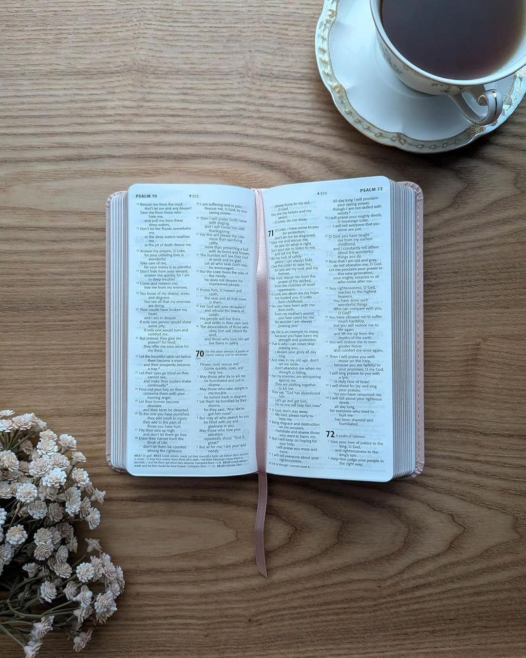 NLT Pocket Thinline Bible, Filament Enabled (LeatherLike, Blush Pink Flowers, Red Letter)