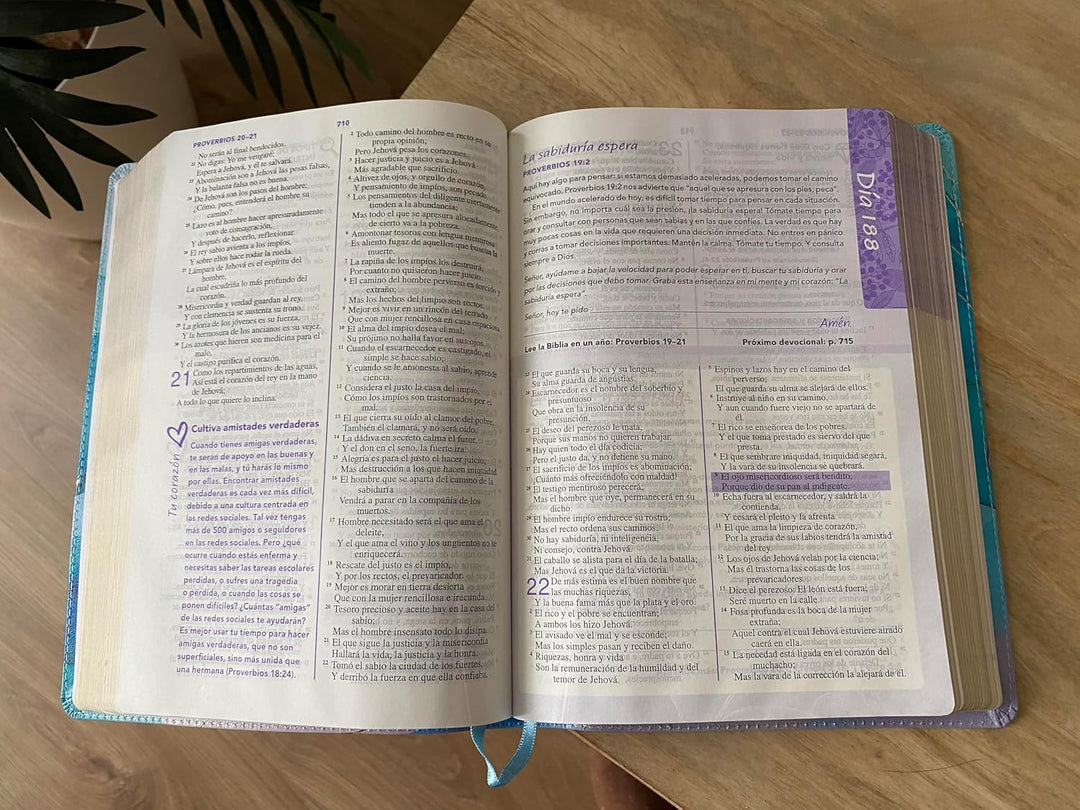 Biblia de una joven conforme al corazón de Dios-RVR60: Edición Brisa (A Young Woman After God&