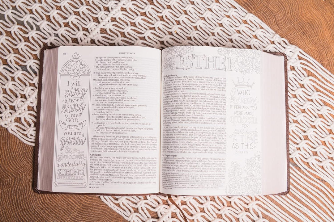 Inspire Catholic Bible NLT (LeatherLike, Dark Brown): The Bible for Coloring &amp; Creative Journaling Imitation Leather