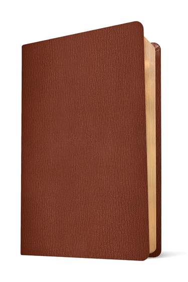 NLT Super Giant Print Bible, Filament Enabled