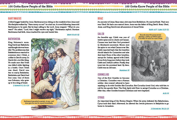 The Daily Wisdom for Boys SKJV Devotional Bible