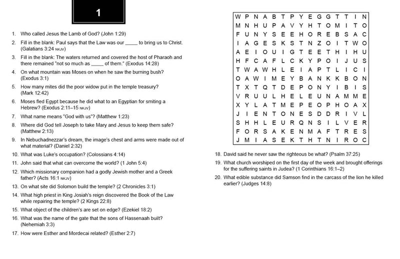 BIBLE TRIVIA WORD SEARCHES LARGE PRINT
