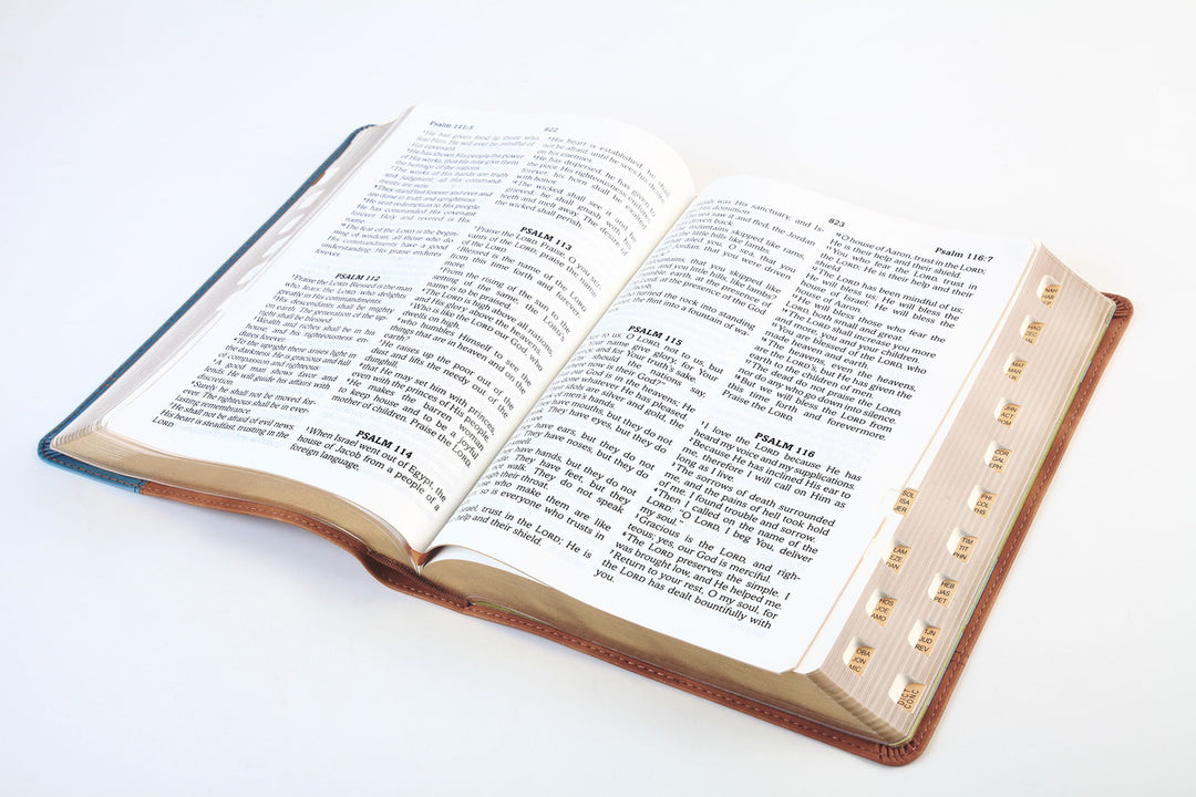 The Barbour Simplified KJV--Large Print [Rust &amp; Stone Cross]