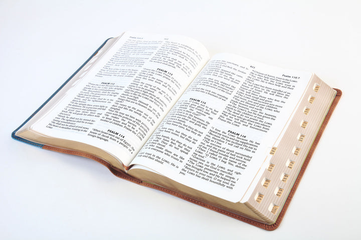 The Barbour Simplified KJV--Large Print [Rust &amp; Stone Cross]
