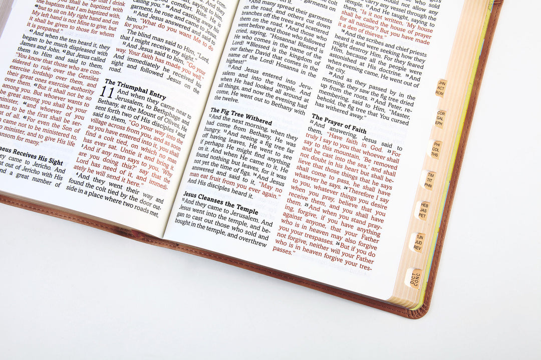The Barbour Simplified KJV--Large Print [Rust &amp; Stone Cross]