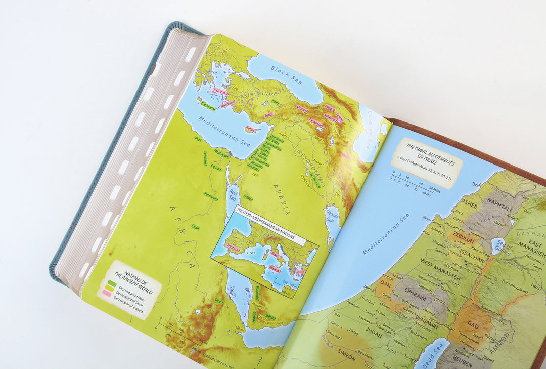 The Barbour Simplified KJV--Large Print [Rust &amp; Stone Cross]