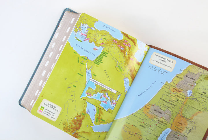 The Barbour Simplified KJV--Large Print [Rust &amp; Stone Cross]