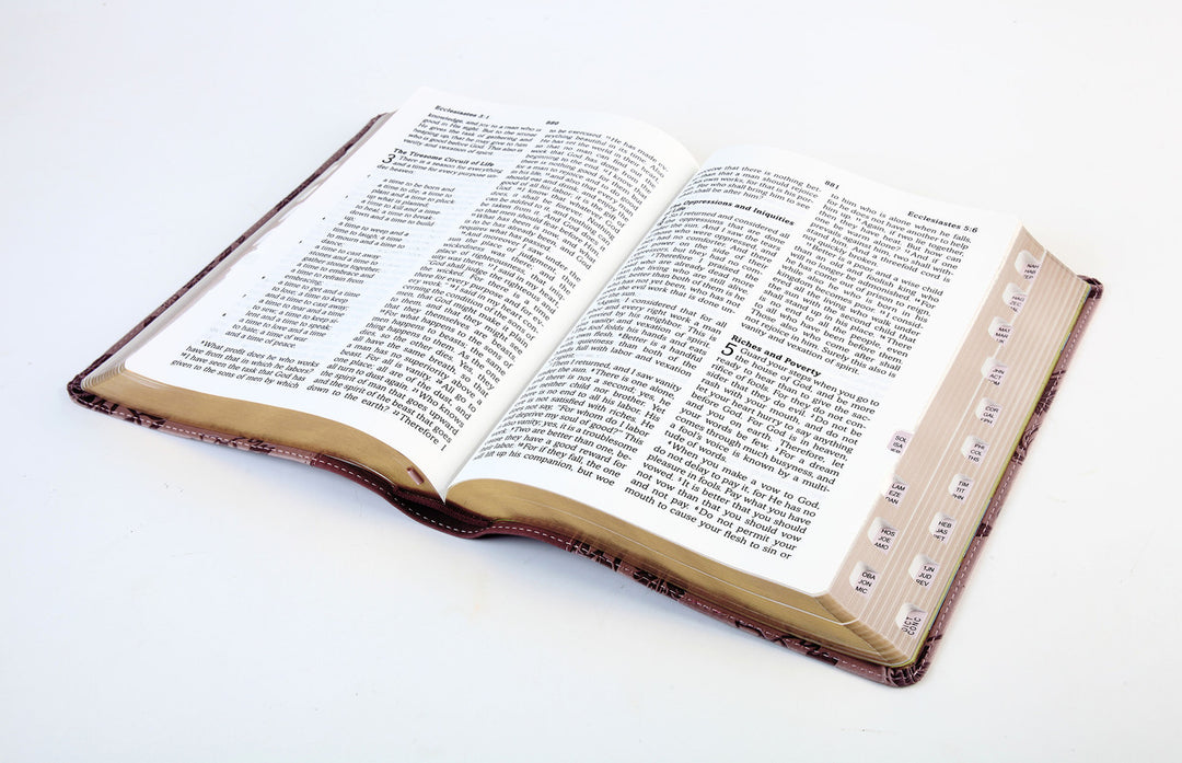 Simplified KJV--Large Print [Plum &amp; Paisley]