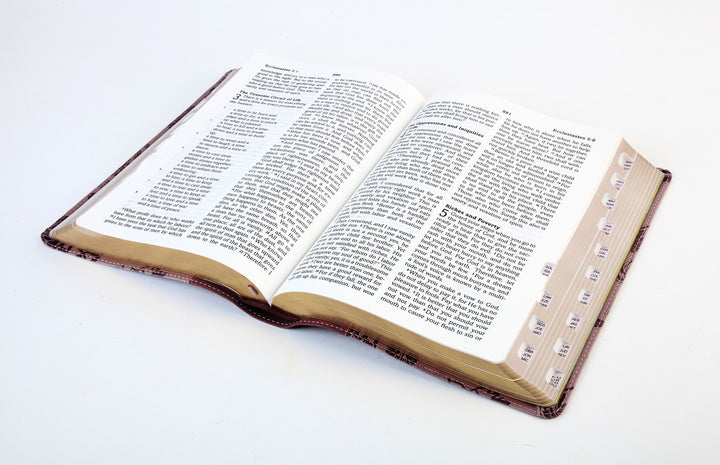 Simplified KJV--Large Print [Plum &amp; Paisley]
