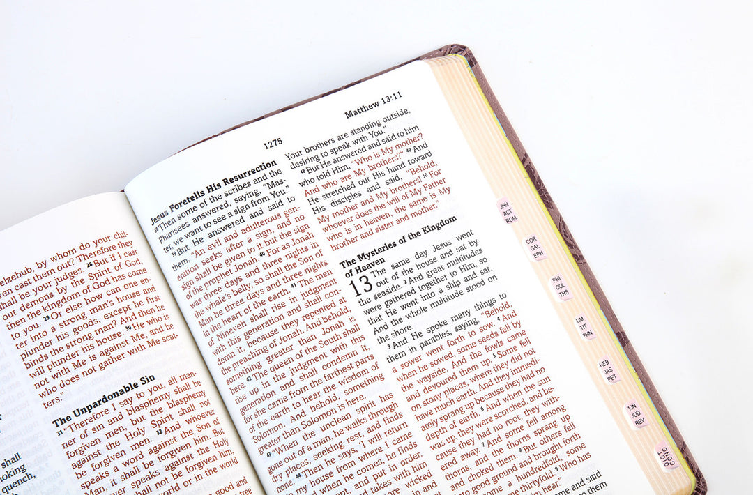 Simplified KJV--Large Print [Plum &amp; Paisley]