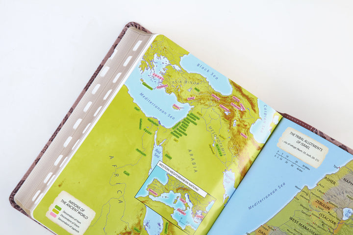 Simplified KJV--Large Print [Plum &amp; Paisley]