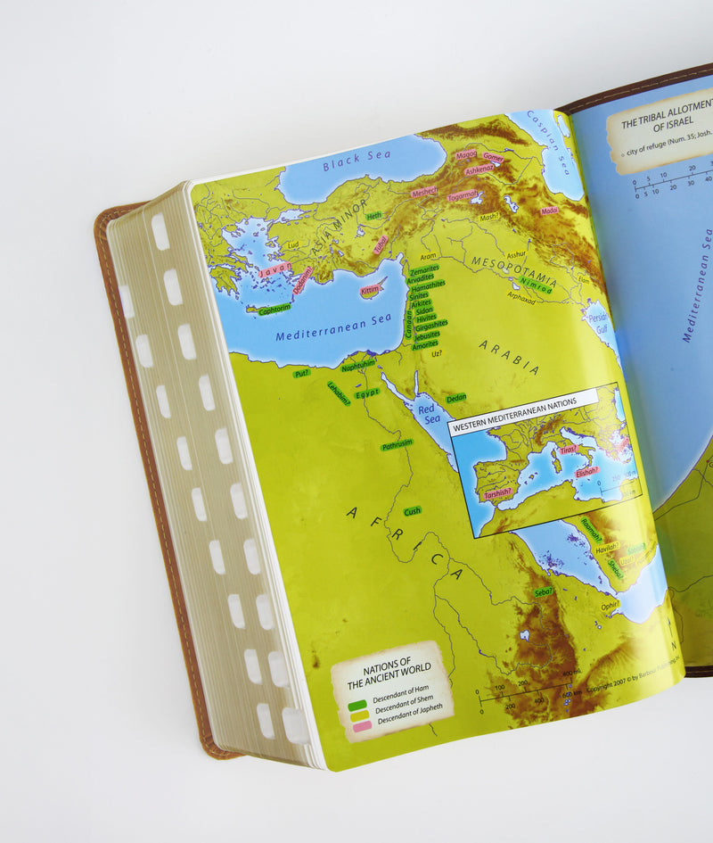 The KJV Study Bible, Large Print (Indexed) [Two-Tone Brown Alpha & Omega]