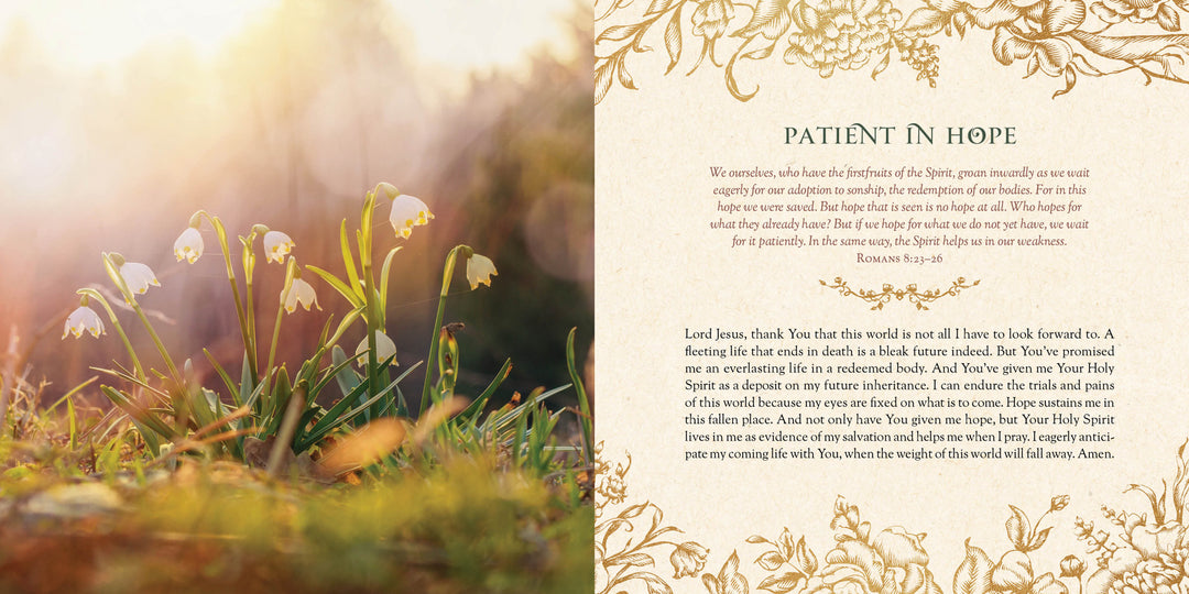 Filled with Hope Devotions and Prayers