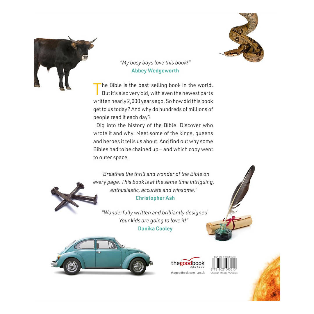 All About the Bible Over 100 Amazing Facts about the Bible - Alison Mitchell