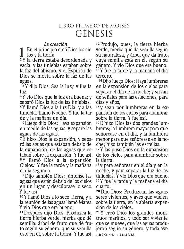 Biblia RVR 1960 Letra Súper Gigante Símil Piel Azul Claro (Spanish)
