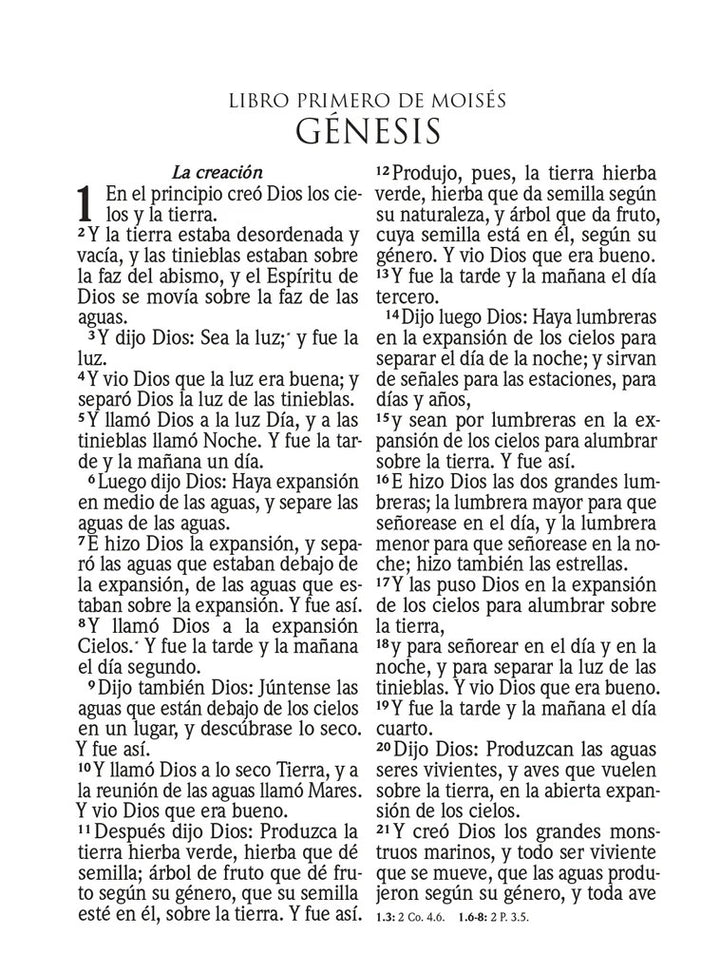 Biblia RVR 1960 Letra Súper Gigante Símil Piel Azul Claro (Spanish)