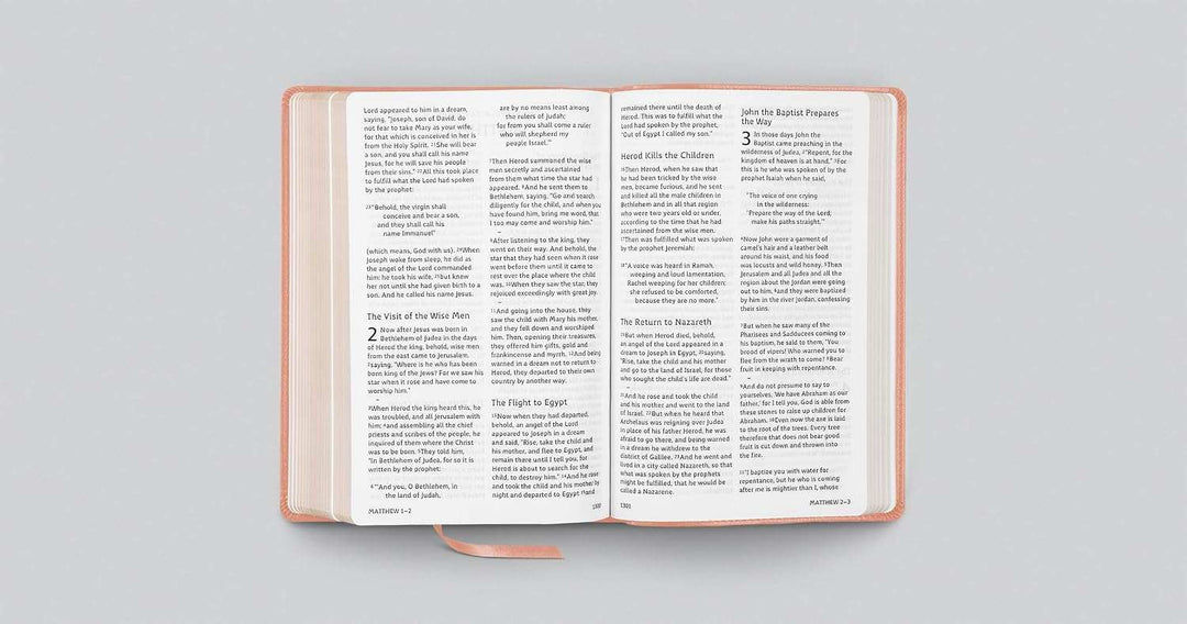 Bible Dyslexia
