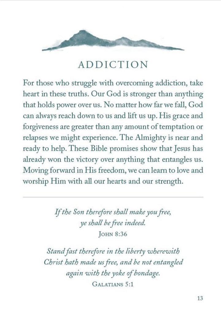 The Bible Promise Book for Hope and Healing Paperback Compiled by Barbour Staff