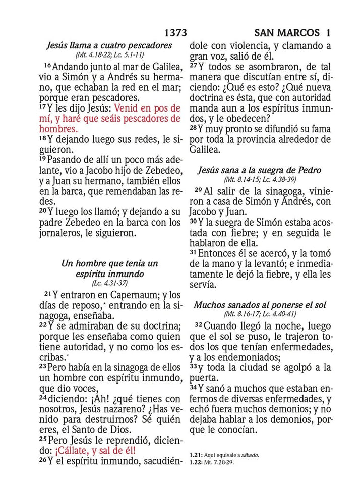BIBLIA RVR 1960 LETRA SUPER GIGANTE SIMIL PIEL ROSA (Spanish)