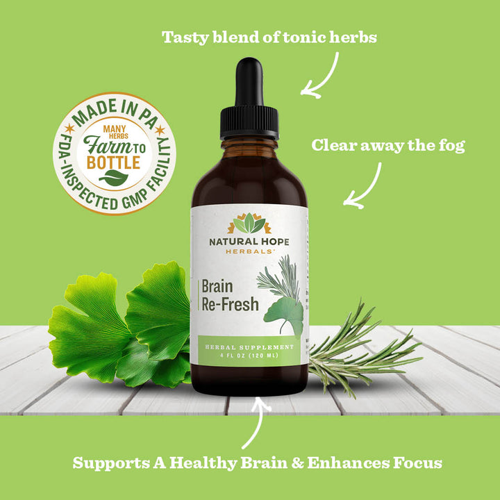 Brain Re-Fresh