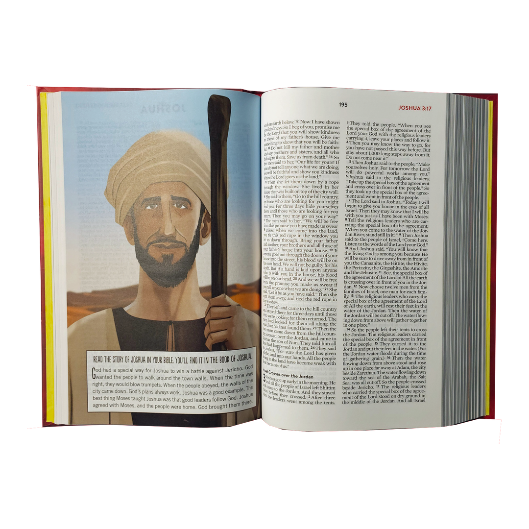 The Brave Boys Devotional Bible: New Life Version Hardcover