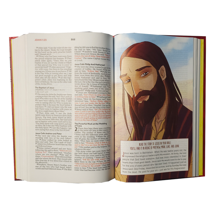 The Brave Boys Devotional Bible: New Life Version Hardcover