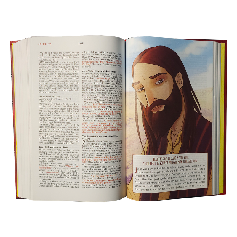 The Brave Boys Devotional Bible: New Life Version Hardcover