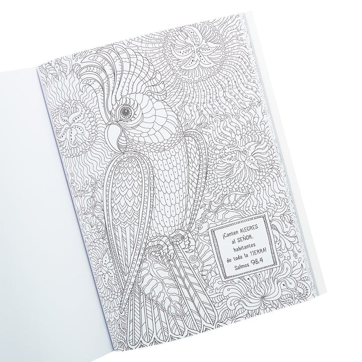 Libro para Colorear “Los Salmos en Color”