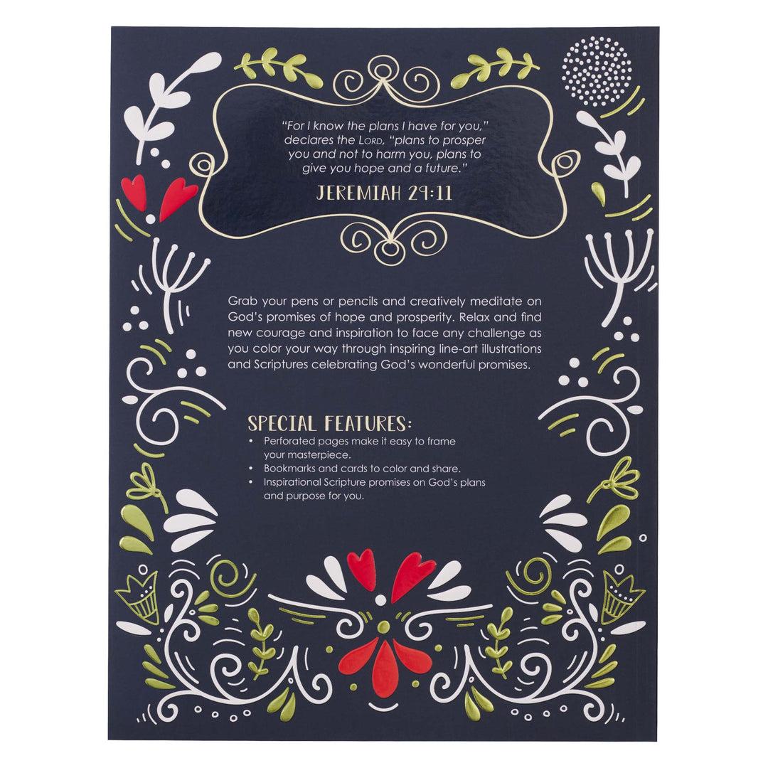 I Know the Plans I Have for You Coloring Book for Adults - Jeremiah 29:11 - Coloring Book