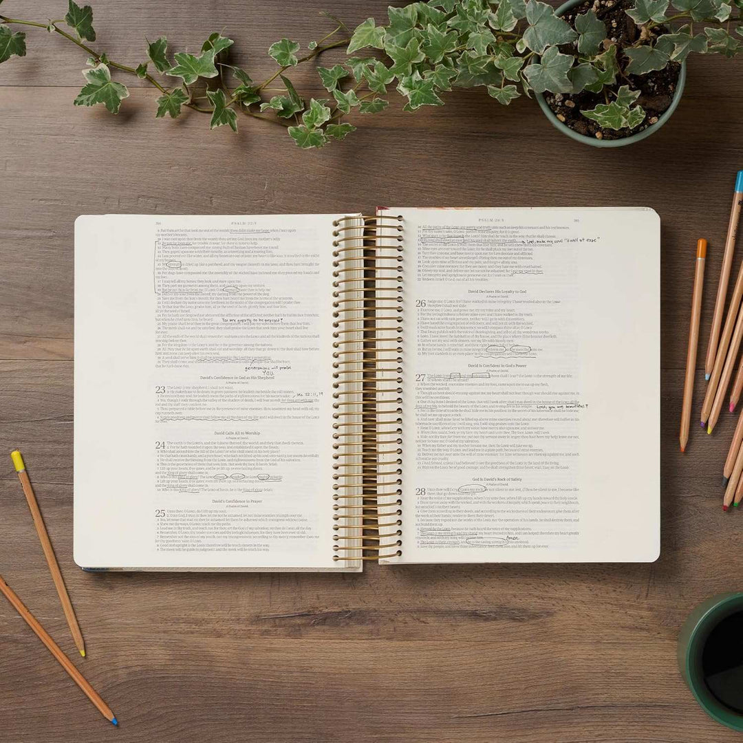 Creative Bible