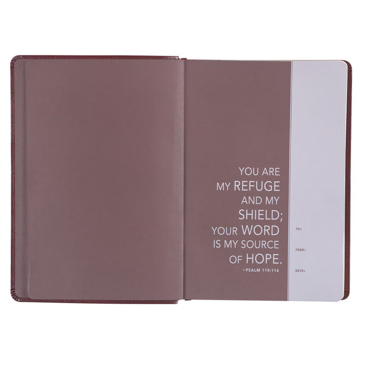 Saddle Tan Faux Leather NLT Everyday Devotional Bible for Men