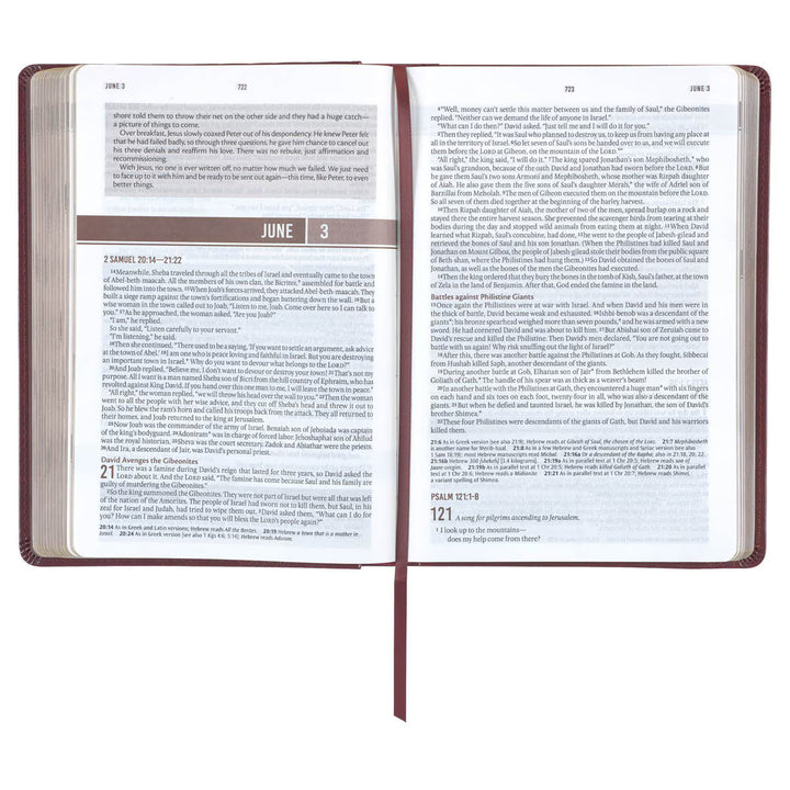 Saddle Tan Faux Leather NLT Everyday Devotional Bible for Men