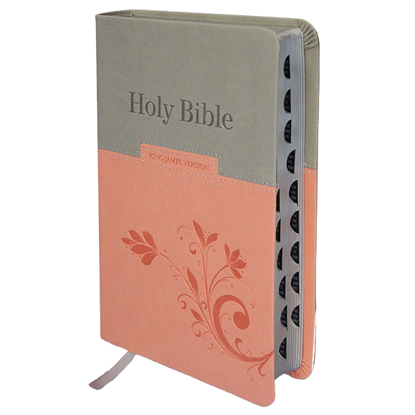 KJV Large Print Personal Size Bible